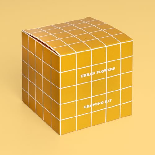 Resetea - Urban Flower Anzuchtset GELB Blühende Blumen Resetea - Urban Flower Anzuchtset GELB Blühende Blumen von Resetea