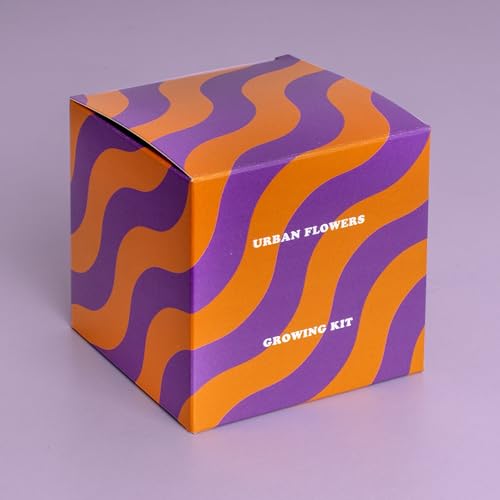 Resetea - Urban Flower Anzuchtset ORANGE - Blühende Blumen Resetea - Urban Flower Anzuchtset ORANGE - Blühende Blumen von Resetea