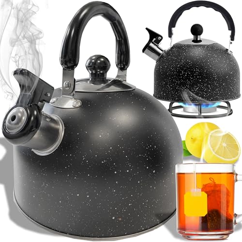 Retoo Wasserkocher Wasserkessel Induktion 2.5L, Teekessel für Induktion Schwarz Edelstahl Pfeifkessel Tea Kettle mit Griff für GlasKeramikherd, Gas für Alle Herdarten Elektroherd für Tee Kaffee von Retoo