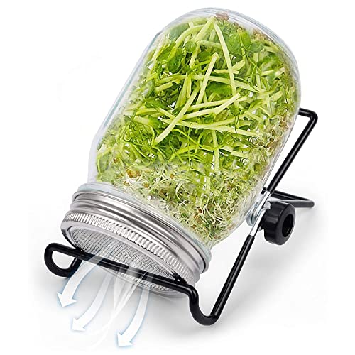 Retoteng Seed Sprouting Kit, Sprouting Mason Jar mit Edelstahl-Sieb Deckel, Stand, Sprouting Kit für den Anbau von Miniatur-Sprossen Alfalfa Brokkoli Bohnensalat Retoteng Seed Sprouting Kit, Sprouting Mason Jar mit Edelstahl-Sieb Deckel, Stand, Sprouting Kit für den Anbau von Miniatur-Sprossen Alfalfa Brokkoli Bohnensalat von Retoteng
