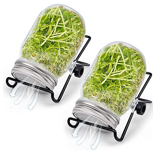Seed Sprouter Kit, 2 Stück Sprouting Mason Jar mit Edelstahl-Filter-Deckel, Stand, Sprouter Set für den Anbau von Miniatur-Sprossen Alfalfa Brokkoli Bohnensalat Seed Sprouter Kit, 2 Stück Sprouting Mason Jar mit Edelstahl-Filter-Deckel, Stand, Sprouter Set für den Anbau von Miniatur-Sprossen Alfalfa Brokkoli Bohnensalat von Retoteng