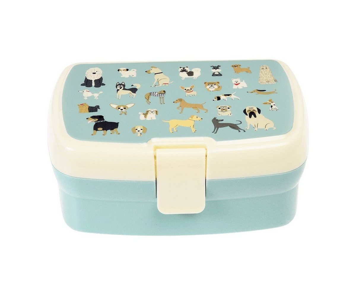 Rex London Lunchbox Kinder Brotbox Vesperbox Brotbüchse Brotdose Vesperdose von Rex London