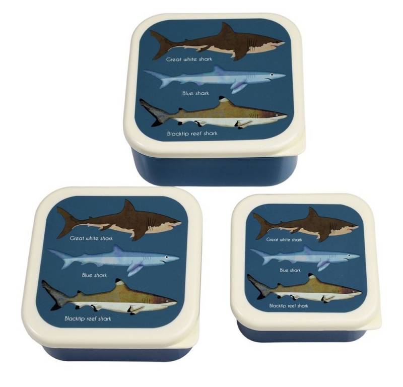 Rex London Lunchbox Snack Box 3er Set Sharks Haie, Kunststoff, BPA-frei, (Set, 3-tlg., ca. 11,5 x 11,5 x 5,5 cm (große Box), jede Box mit eigenem Design, passt genau in den größeren Behälter von Rex London