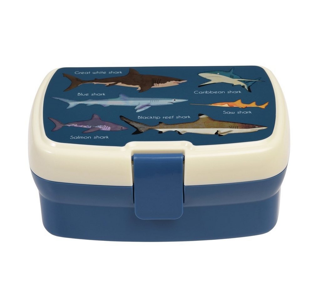 Rex London Lunchbox mit herausnehmbaren Fach Sharks (Haie), Kunststoff, BPA-frei, (mit Clipverschluss, ca. 17 x 13 x 7,5 cm), Snack Obst Behälter Dose Box von Rex London