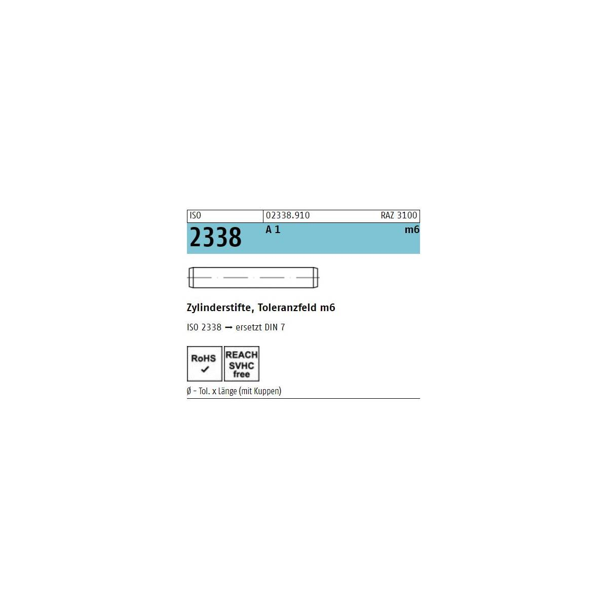 Reyher Iso 2338 Zylinderstift Stift 1.4305 10 M6 X 50 Rostfrei A 1 50 Stück  B-Ware von Reyher