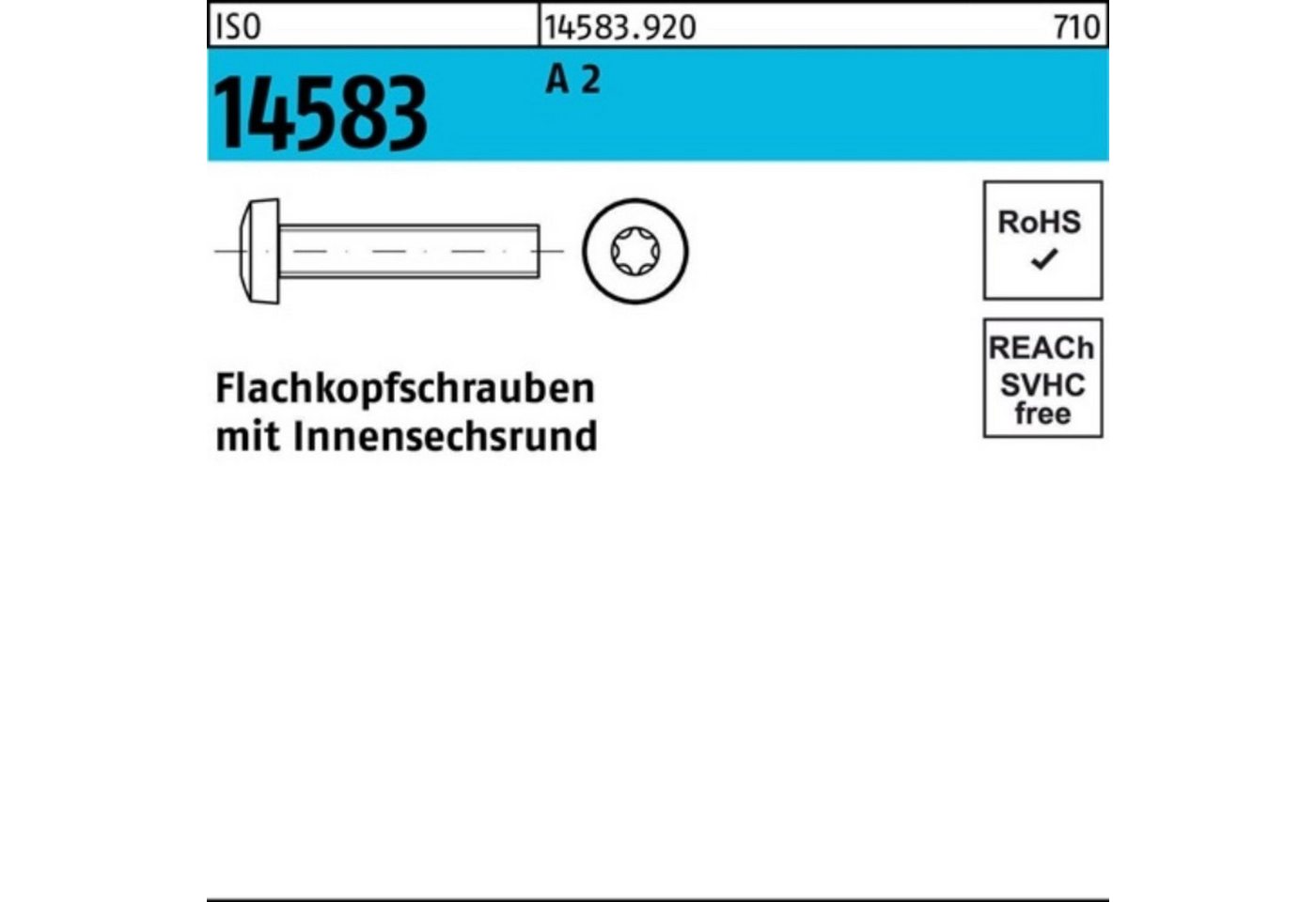 Reyher Schraube 1000er Pack Flachkopfschraube ISO 14583 ISR M2,5x 8 A 2 1000 Stück IS von Reyher