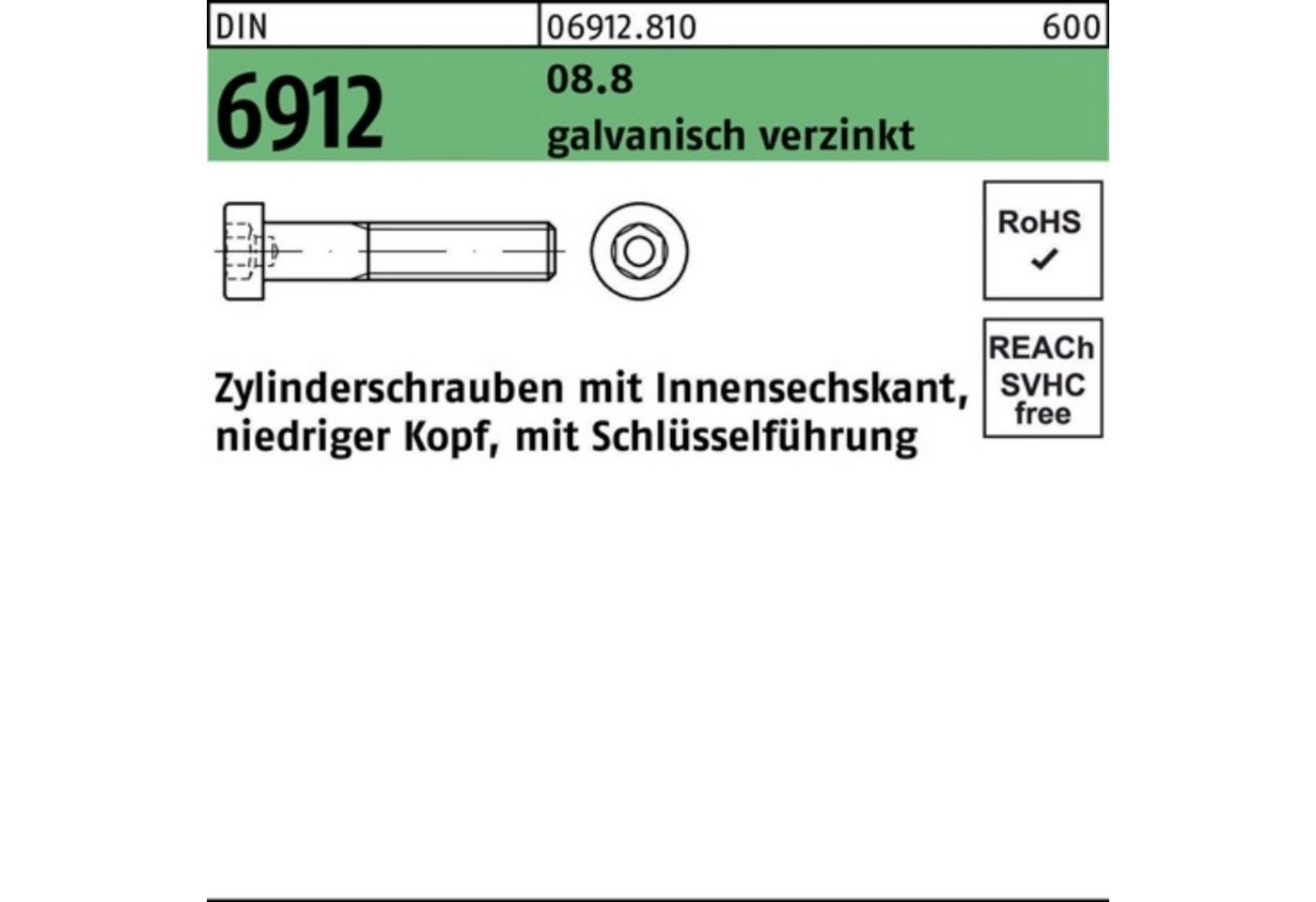 Reyher Zylinderschraube 100er Pack Zylinderschraube DIN 6912 Innen-6kt M24x50 8.8 galv.verz. 1 von Reyher