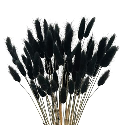 Rfeeuubft 60 StüCk Getrocknete Herbstblumen, HäSchenschwäNze, Getrocknete Blumen, Lagurus, Ovatus, Kaninchenschwanz, Gras für Getrocknete Blumen (Schwarz) von Rfeeuubft