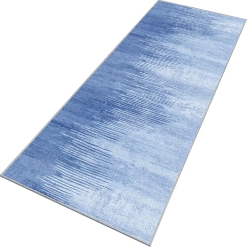 Rglxing Teppich Läufer Flur rutschfest Küchenteppich Fußmatte 90X200CM Waschbar Blau Teppichläufer Meterware Schmutzfangmatte Teppichläufer für Flur Küche Eingang Wohnzimmer Schlafzimmer Rglxing Teppich Läufer Flur rutschfest Küchenteppich Fußmatte 90X200CM Waschbar Blau Teppichläufer Meterware Schmutzfangmatte Teppichläufer für Flur Küche Eingang Wohnzimmer Schlafzimmer von Rglxing