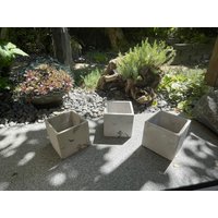 Übertopf "Würfel" Aus Beton von RheinholzDeko