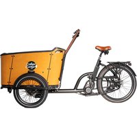 Caboo Cargo E-Bike Familiy C von Rheinsteiner