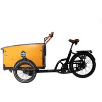 Caboo Cargo E-Bike Familiy S von Rheinsteiner