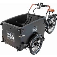 Caboo Cargo E-Bike Starter von Rheinsteiner