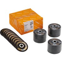 RHODIUS ALPHAline LSZ F2 VALUE PACK 40 Fächerschleifscheibe 115 x 22,23 mm K80 RHODIUS ALPHAline LSZ F2 VALUE PACK 40 Fächerschleifscheibe 115 x 22,23 mm K80 von Rhodius