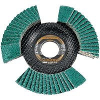 Rhodius - vision cool, 10 Stück, 115 mm, Korn 80, Fächerschleifscheibe von Rhodius