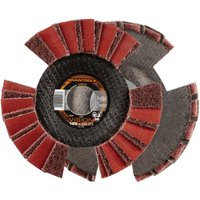 Rhodius - vsk vision, 10 Stück, 125 mm, Fächerschleifscheibe Rhodius - vsk vision, 10 Stück, 125 mm, Fächerschleifscheibe von Rhodius