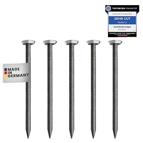 RIKAMA® – 100 Bildernägel – Stahlnägel für den Einsatz auf Beton, Ziegelstein, Putz & Holz – Nägel aus gehärtetem Stahl als Bilder Aufhängung – Made in Europe (Silber mit Halter, 40 mm) von RiKaMa ONLINEVERSAND AUS EINER HAND