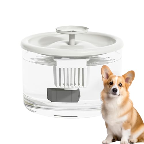 Automatic Water Dispenser Cats, Pet Feeder Fountain, Dog Waterer with Large Capacity, 5.91x5.91 Inches, Indoor Use, Clean Drinking, Supplies for Cats, Dogs, Convenient Solution Automatic Water Dispenser Cats, Pet Feeder Fountain, Dog Waterer with Large Capacity, 5.91x5.91 Inches, Indoor Use, Clean Drinking, Supplies for Cats, Dogs, Convenient Solution von Riaisttd