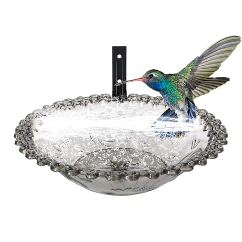Garten Vogeltränke Wandmontage Außenbecken 22.9 cm Transparent Blumen Design Wetterfest und Leicht zu Reinigen 1 Packung Klar Fütterung Sittiche und Kolibris von Riaisttd