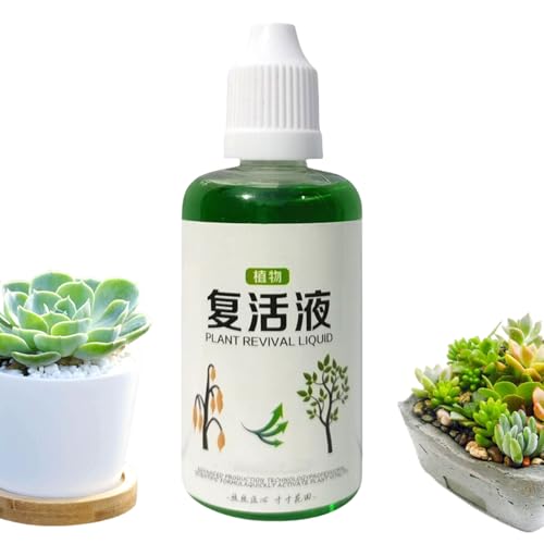 Plant Root Stimulator, Root Nutrient Fertilizer, Quick Natural Growth Solution, 1.69oz Bottle, Balanced and Secure Formula for Soil and Hydroponic Planting von Riaisttd
