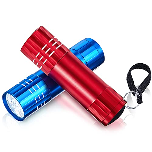 Taschenlampen 4 Packungen Mini Taschenlampen Tragbare LED Taschenlampen Kleine Taschenlampe Kinder Aluminium Camping Taschenlampen mit Lanyards für Camping, Radfahren, Batterien Enthalten von Riakrum