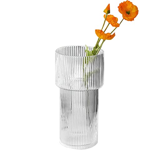 Moderne Vase,Klarglasvase 3er-Set | Ästhetisches, modernes geriffeltes Design, klares Glas für Kaminsims, Bücherregal, Tischdekoration, Eingangsbereich, Tafelaufsatz Rianpesn von Rianpesn