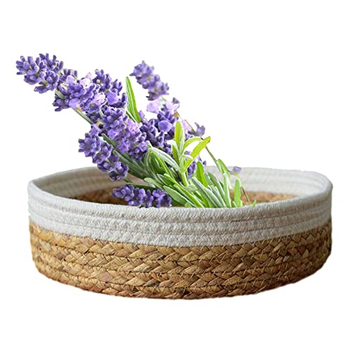 Rianpesn Runder Brotkorb aus Rattan | Handgemachter Webkorb aus Kürbisgras, runder Brotkorb,Gemüse-Organizer-Halter, Schüssel, dekoratives Rack-Display Rianpesn Runder Brotkorb aus Rattan | Handgemachter Webkorb aus Kürbisgras, runder Brotkorb,Gemüse-Organizer-Halter, Schüssel, dekoratives Rack-Display von Rianpesn