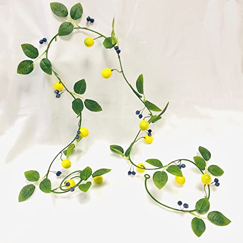 2er-Pack Künstliche Zitronen Blaubeer Girlande,Zitronenranke Hängende Blumen Pflanzen Künstliche Früchte Beeren Kranz für Hochzeit Hausgarten Party Handwerk Dekoration (Zitronen-Heidelbeer-Rebe) von Riaxuebiy