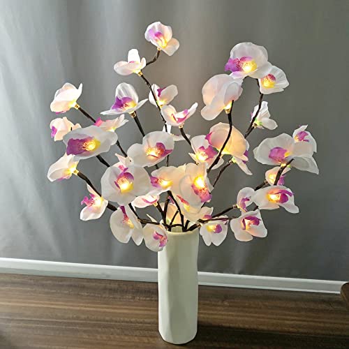 3er Pack 20LED Zweig Lichter Künstliche Blumen Phalaenopsis Orchidee Zweig Lichter Flexibles Baumlicht für Home Vase Tisch Weihnachtshochzeit (Phalaenopsis, 76cm-3pcs) von Riaxuebiy