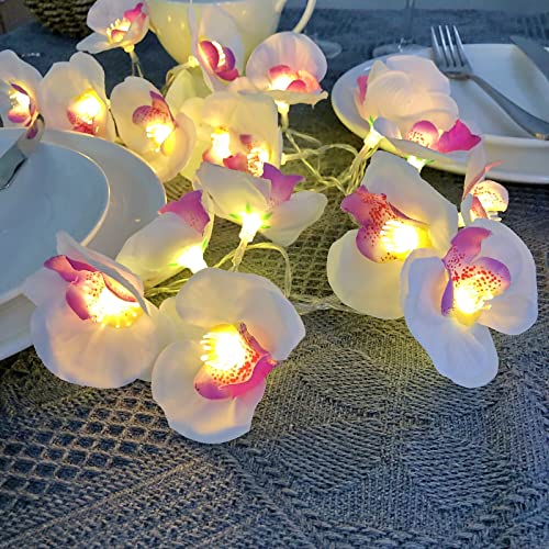 Künstliche Phalaenopsis Girlande 20 LED Lichterketten Weiß Blumengirlande Kunstblumen Seidenblumen Gefälschte Blumen Rose Girlande Hängend Rebe für Hochzeit Party Garten Dekor (Phalaenopsis, Batterie) von Riaxuebiy
