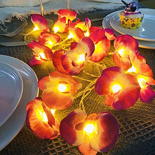 Künstliche Phalaenopsis Girlande LED Lichterketten Blumengirlande Kunstblumen Seidenblumen Gefälschte Blumen Rose Girlande Hängend Rebe für Hochzeit Party Garten Dekor (Lila Phalaenopsis, Batterie) von Riaxuebiy