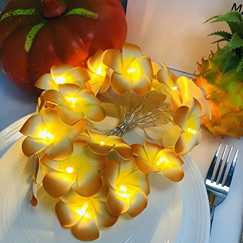 Künstliche Plumeria Blume LED-Lichterkette Hawaiianischer Schaum Frangipani Batteriebetriebene Feen-Nachtlichter für die Weihnachtsfeier Home Wedding Beach Decor (Batterien, Orange) von Riaxuebiy