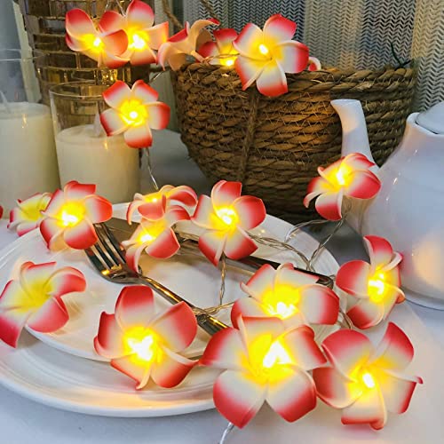 Künstliche Plumeria Blume LED-Lichterkette Hawaiianischer Schaum Frangipani Batteriebetriebene Feen-Nachtlichter für die Weihnachtsfeier Home Wedding Beach Decor (Batterien, Rot) von Riaxuebiy