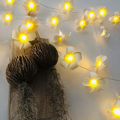 Künstliche Plumeria Blume LED-Lichterkette Hawaiianischer Schaum Frangipani Batteriebetriebene Feen-Nachtlichter für die Weihnachtsfeier Home Wedding Beach Decor (Weiß, 3m/20LED) von Riaxuebiy