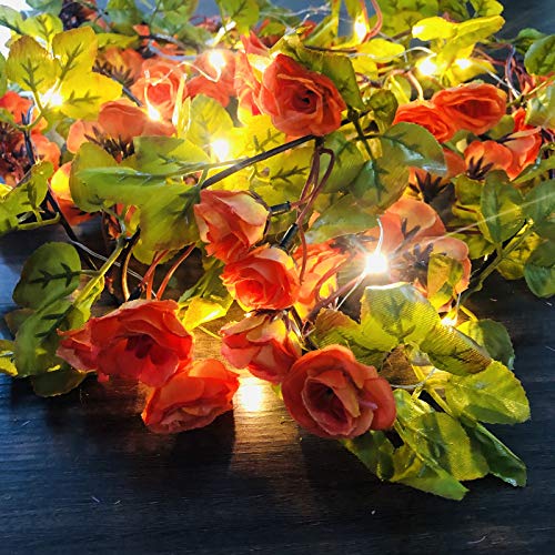 Riaxuebiy Künstliche Seide Rose Blumen Lichterketten 69 Blumen Reben Girlande Fee Lampe Kranz Angetrieben für Weihnachten Hochzeitsfeier Dekoration (Champagner, Batterie) von Riaxuebiy