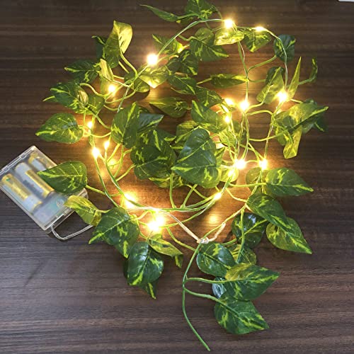 Künstlicher Eukalyptus hinterlässt LED-Lichterkette Hängende Rebe Girlande Efeu Kranz gefälschte Efeu Pflanze Splitter Draht(2m/20 Lichter, Epipremnum Golden) von Riaxuebiy