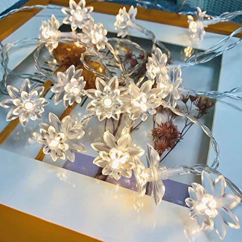 Riaxuebiy Lotus Lichterkette LED Lotusblumen Lichterkette an Schnur Batteriebetrieben für Weihnachten Party Hochzeit Terrasse Garten Dekoration (6m/40led, Lotus) von Riaxuebiy