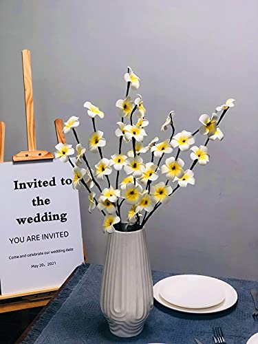 Riaxuebiy 3er Pack 20LED Zweig Lichter Künstliche Blumen Frangipani Zweig Lichter Flexibles Baumlicht für Home Vase Tisch Weihnachtshochzeit (Frangipani, 76cm-3pcs) von Riaxuebiy