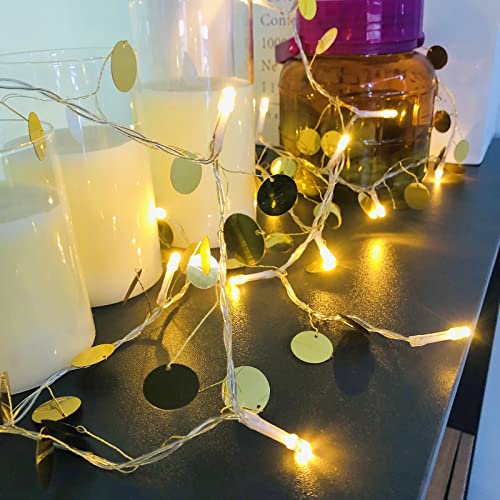 Riaxuebiy Goldene Pailletten Lichterkette Runde Scheibe LED Kupferdraht Lichterkette Batteriebetrieben für Hochzeit Weihnachtsfeier Camping Dekoration (2m/20led) von Riaxuebiy