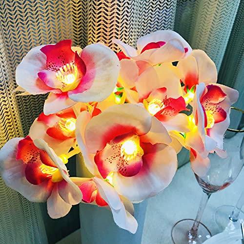 Riaxuebiy Künstliche Phalaenopsis Blumengirlande, 20 LEDs, Orchideen, Lichterketten, warmweiß, für Party, Hochzeit, Haus, Dekoration (Rosa Phalaenopsis, USB) von Riaxuebiy