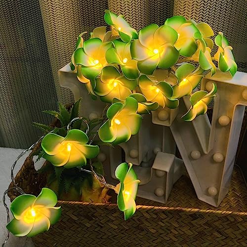 Riaxuebiy Künstliche Plumeria Blume Lichterketten,20LEDs Warmweiß, USB Stecker In mit 8 Modi Fernbedienung,Dekorative Frangipani Lichterketten für Geburtstag Party Hochzeit Weihnachten (Grün) von Riaxuebiy