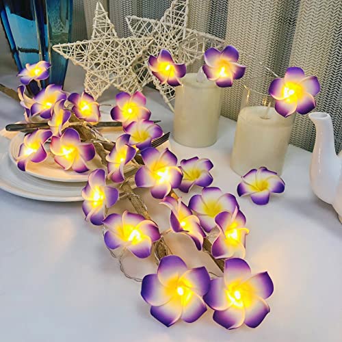 Riaxuebiy Künstliche Plumeria Blume Lichterketten,20LEDs Warmweiß, USB Stecker In mit 8 Modi Fernbedienung,Dekorative Frangipani Lichterketten für Geburtstag Party Hochzeit Weihnachten (Lila) von Riaxuebiy