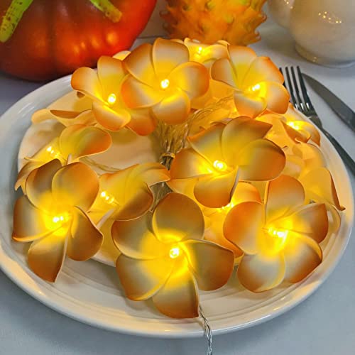 Riaxuebiy Künstliche Plumeria Blume Lichterketten,20LEDs Warmweiß, USB Stecker In mit 8 Modi Fernbedienung,Dekorative Frangipani Lichterketten für Geburtstag Party Hochzeit Weihnachten (Orange) von Riaxuebiy