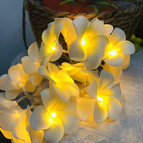 Riaxuebiy Künstliche Plumeria Blume Lichterketten,20LEDs Warmweiß, USB Stecker In mit 8 Modi Fernbedienung,Dekorative Frangipani Lichterketten für Geburtstag Party Hochzeit Weihnachten (Weiß) von Riaxuebiy