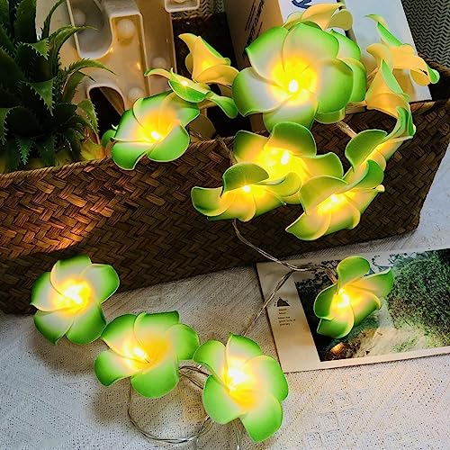 Riaxuebiy Künstliche Plumeria Blume Lichterketten,3 M 20 LED Warmweiß USB Betrieben, Dekorative Frangipani Lichterketten für Geburtstag Party Hochzeit Festival (USB Betrieben, Grün) von Riaxuebiy