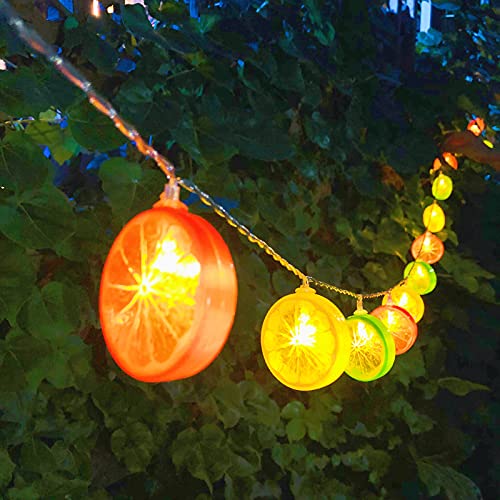 Riaxuebiy Künstliche Zitronenscheibe Girlande 3m 20LED 3D Gefälschte Früchte Hängen Mixcolor Zitronenfee Lichterkette für Hochzeit Garten Herbstdekoration (Mischfarbe Zitrone-Batterie) von Riaxuebiy