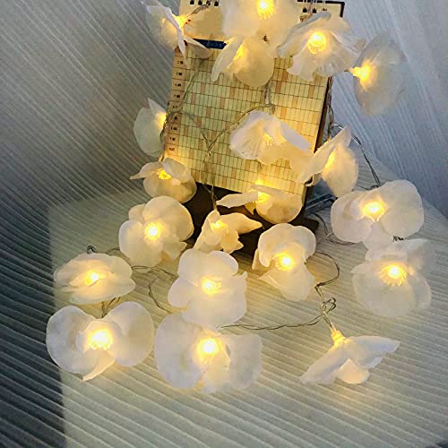 Riaxuebiy Phalaenopsis Lichterkette 9,8 ft 20 Lichterketten Fee Orchidee Künstliche LED batteriebetriebene Dekoration für Muttertag Hochzeit Warmweiß (Weiß) von Riaxuebiy