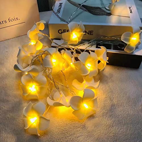 Riaxuebiy Plumeria Künstliche Lichterkette Frangipani Künstliche Blumen LED Fee Lichterketten Batterie für Strand Party Geburtstag Vorschlag Hochzeit Dekor (3 m/20 LEDs, Gelb) von Riaxuebiy