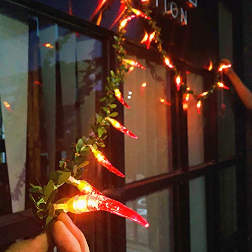 Riaxuebiy Rot Chili Lichterketten 80 LED Seil Feen Nachtlicht Pfeffer Chili Lampen Batterien Warmweiß für Weihnachten Hochzeit Urlaub Party Dekoration (Chili-C, Batterien) von Riaxuebiy