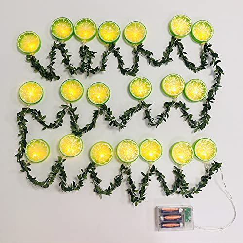 Riaxuebiy Simulation Zitrone Lichterkette Frucht Scheibe Grün Blätter Lichterketten Girlande Fee Nachtlichter Kranz Hängelampe Batterie Angetrieben (2m/20LED, Limette) von Riaxuebiy